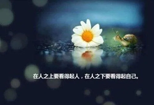 杰姐情感励志语录，心灵成长的温暖灯塔