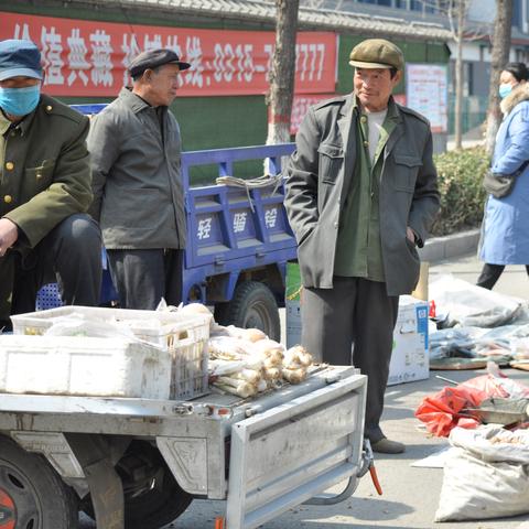 滦州最新疫情通报，全面应对，共筑防控堡垒，守护健康防线