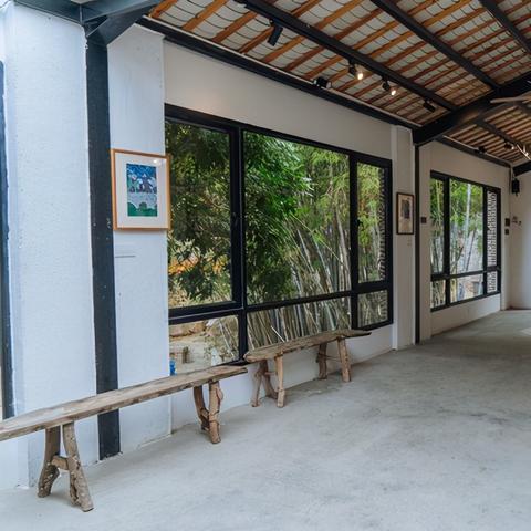 海陵岛红树林秘境之旅，独家旅游攻略！