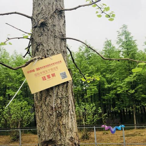谷雨之美与励志语录，图片大全及心灵感悟启发