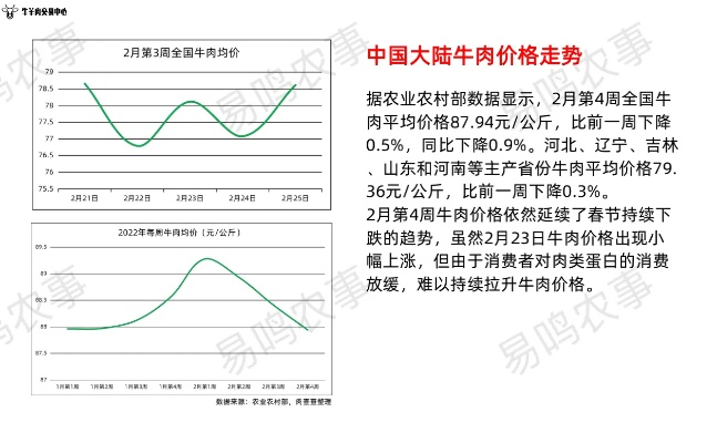 泗阳肉牛价格今日行情深度解析