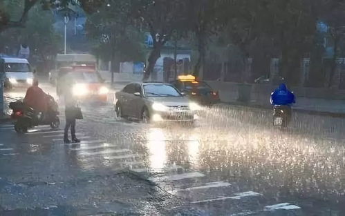 哈尔滨暴雨最新消息，城市如何应对突发天气挑战
