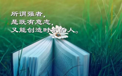 行动眼光的励志名言，照亮人生前行之路