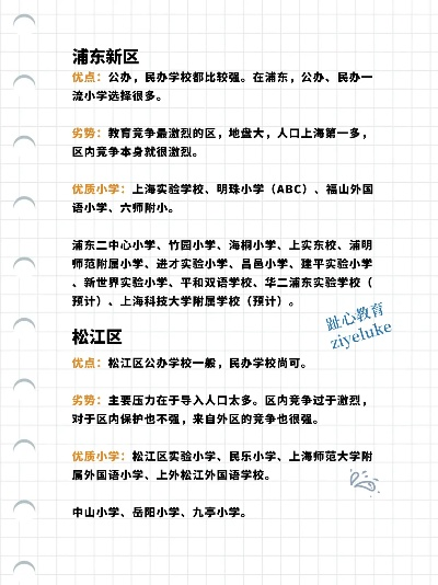 东南新区学校排名前十解读，优质教育资源分布全解析