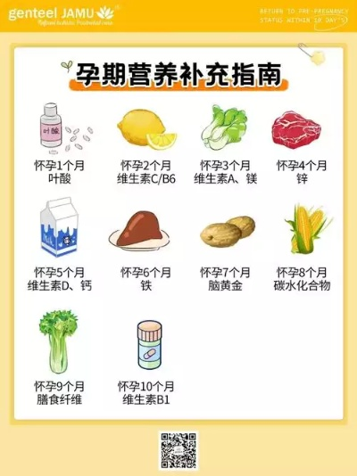 怀孕初期饮食指南，营养搭配建议，助力健康孕育