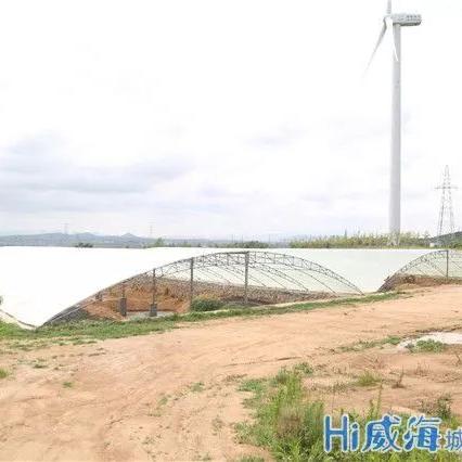 文登无菌车间公司排行榜及行业影响力解析