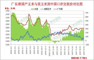 天水玉米今日行情走势分析