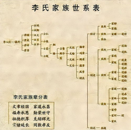 太康赵姓字辈一览，最新查询与深度探索