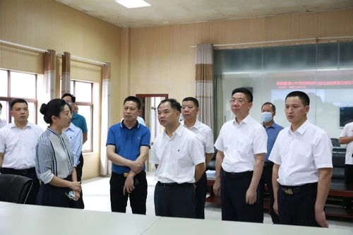 阜阳新闻头条直播，九日要闻大聚焦