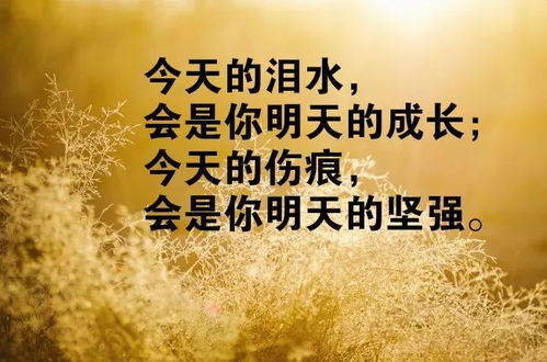 微商送货路上的奋斗精神，信念与努力的交响曲，励志语录激励你我前行！
