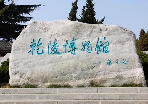全球最佳实景体验网站排名大揭秘！探索世界顶级实景平台之旅