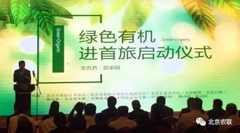 学校励志管理语录引领学子迈向成功的智慧指引