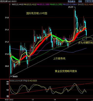 最新实物金价行情解析，今日市场走势与投资指南