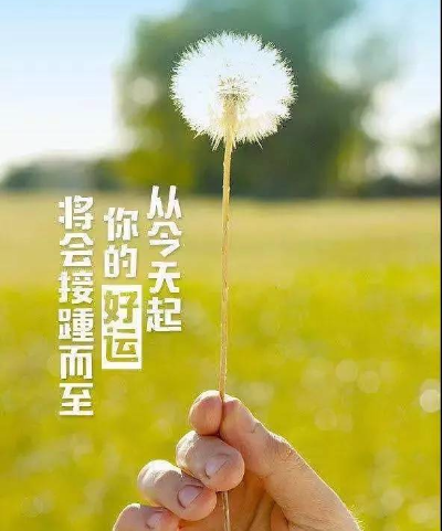 简短励志语录，激发内心力量，点燃希望之火