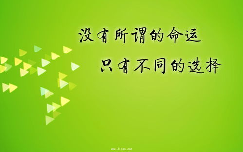 嘴哥语录，人生波折中的励志与成长，励志语录与分手感悟