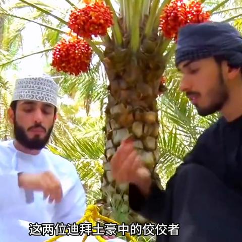 迪拜旅游攻略，最佳季节指南全解析