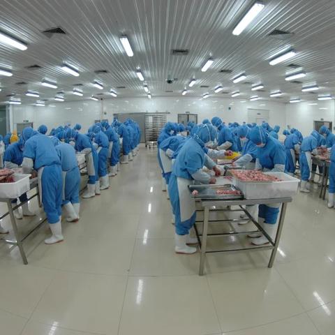 国外种禽公司排名揭秘，行业影响力深度解析