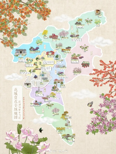 广东春季赏花攻略，探索繁花似锦的季节美景