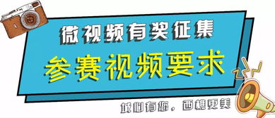 沈阳城管最新视频揭秘，现代化城市管理的卓越风采