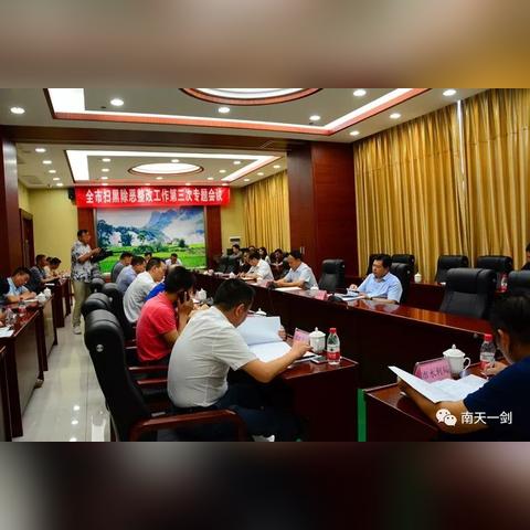 深圳崇左最新动态解读，城市新动向揭秘