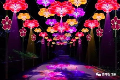 独家揭秘，百度植绒灯笼——传统工艺与现代科技的完美融合