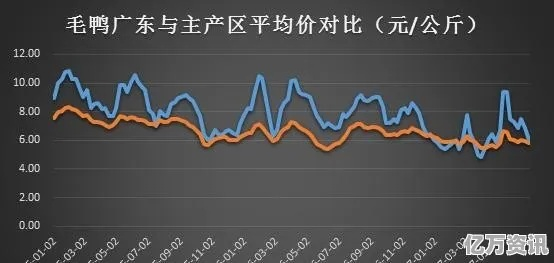 今日鸭饲料价格行情解析，洞悉市场动态及影响因素，掌握最新趋势！
