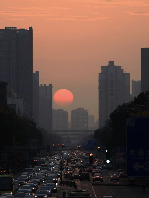 独家揭秘成都一日游的绝佳攻略，畅游天府之国！