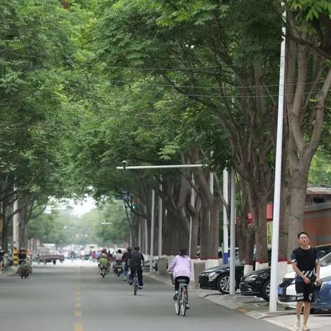 泰安内街景地图全新更新，探索城市脉络，一览无余