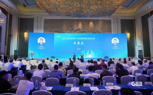会展培训方案公司排名揭秘，业界翘楚探寻记