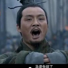 探寻三国英勇传奇，揭秘名将郝昭的历史足迹