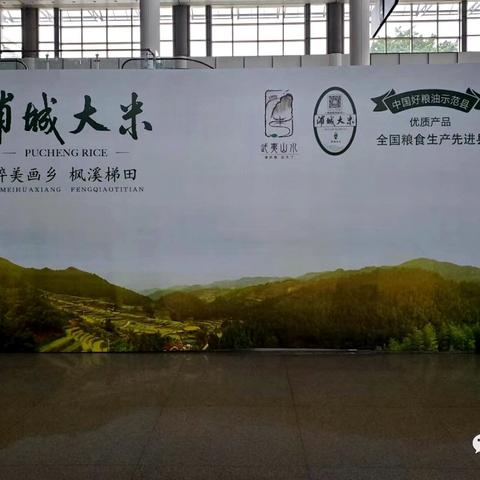 厦门学校排名前十揭秘，解读厦门教育的闪耀明珠