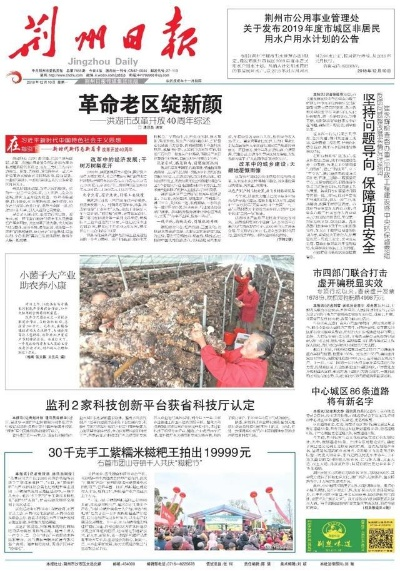 荆州新闻快报，最新今日头条报道聚焦