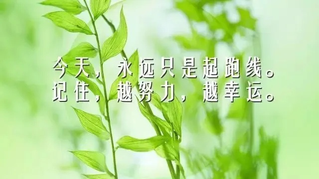 大清早励志语录，唤醒力量，开启璀璨人生之旅！