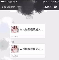 微信最新解密图片揭秘，探索与分享的乐趣瞬间