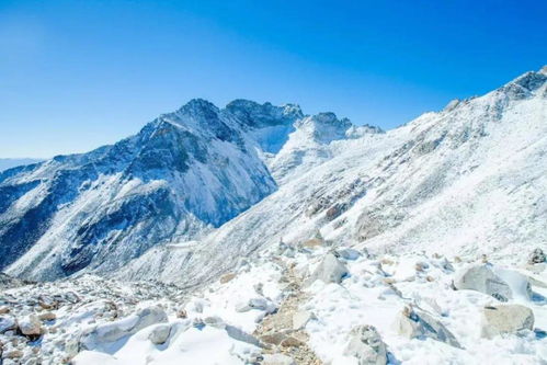 世界最高冰川排名揭秘，冰雪之巅的绝美风光探秘