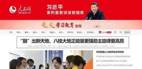 瑞丽最新头条新闻综述，掌握今日热点，一览无遗