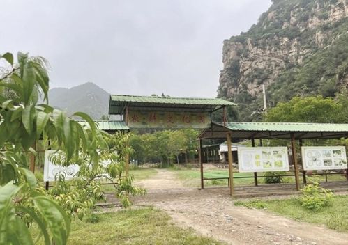 夏津县旅游攻略，古城与乡村美景的魅力探索