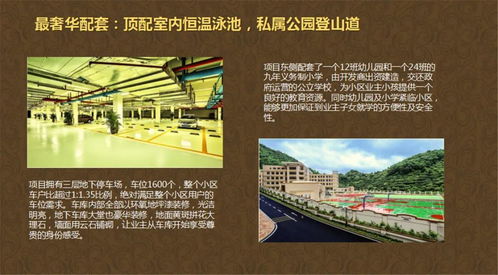 淘金山深度揭秘，新闻头条背后的故事与最新动态
