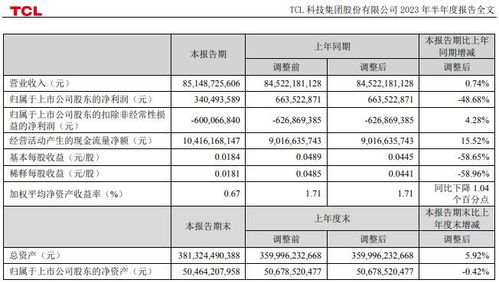 TCL科技股价最新动态，市场走势及前景展望