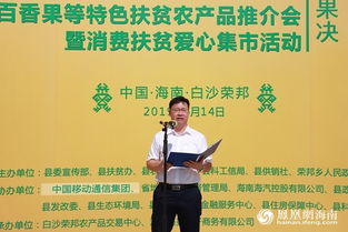 白沙县政府副县长人数及最新动态概览