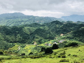 江苏与郴州，两地完美旅行攻略大揭秘！