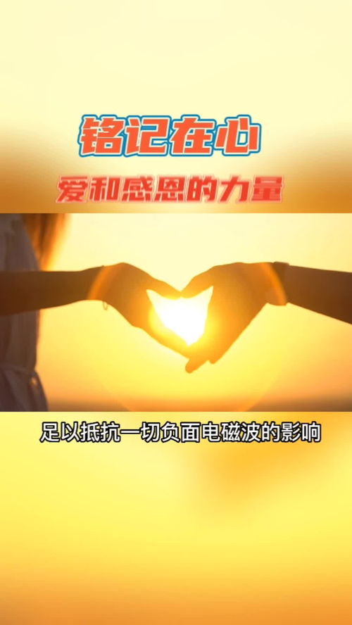 战友励志语录，铸就人生的力量源泉，每日激励前行！