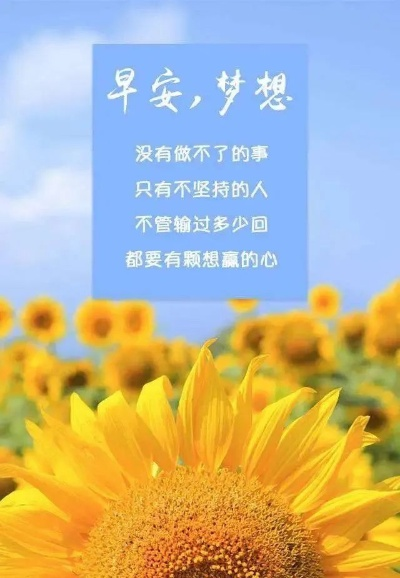 夏日励志早安语录，激发你一天的活力与希望！