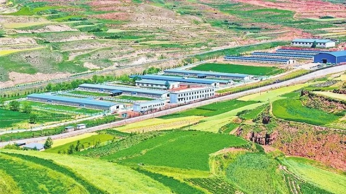 峨口区竹沟镇发展、民生与社会进步新闻聚焦