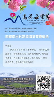 西藏最新热点聚焦，高原动态热议与今日头条揭秘