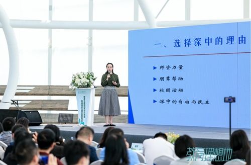 高中学霸背后的故事与挑战，全校前十名排名揭秘