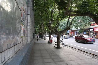 旺苍城市发展与民生改善同步前行，新闻头条揭示最新动态
