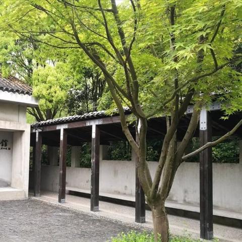 百度带你畅游上海，景点全攻略！