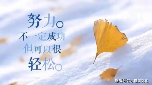 深夜搞笑励志语录，笑中带力，治愈心灵之夜