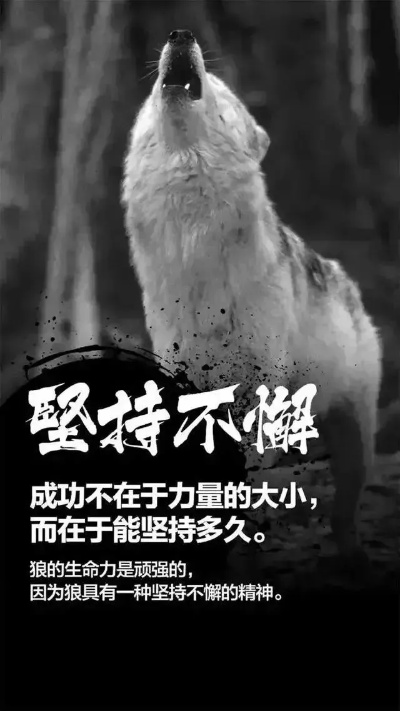 励志故事中的智慧，激发正能量的故事人语录，坚定前行的人生指引